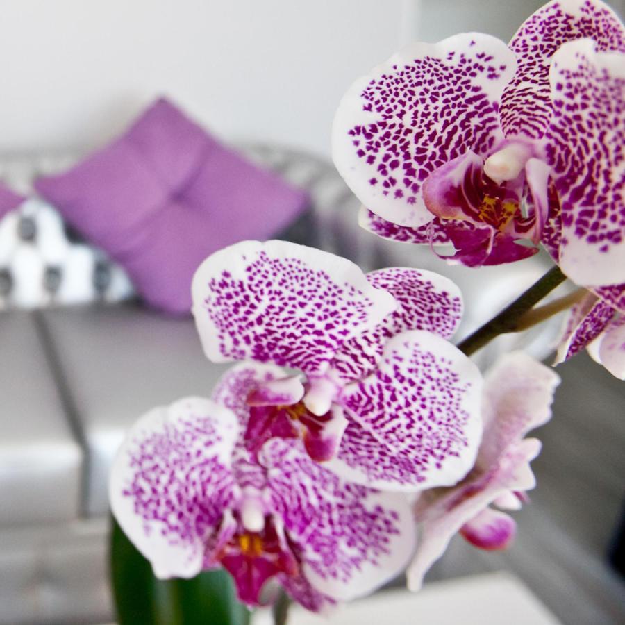 Alix Boutique Hotel Arteixo Kültér fotó